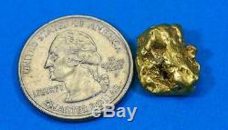 #492 Alaskan BC Natural Gold Nugget 6.99 Grams Genuine