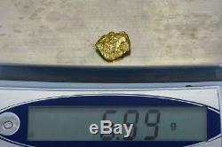 #492 Alaskan BC Natural Gold Nugget 6.99 Grams Genuine