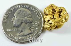 #492 Alaskan BC Natural Gold Nugget 8.84 Grams Genuine