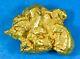 #495 Alaskan Bc Natural Gold Nugget 8.15 Grams Genuine-x
