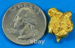 #495 Alaskan BC Natural Gold Nugget 8.15 Grams Genuine-X