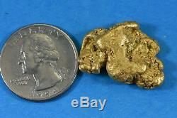 #498 Large Alaskan BC Natural Gold Nugget 20.65 Grams Genuine
