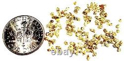 5.000 Grams Alaskan Yukon Bc Natural Pure Gold Nuggets #18 Mesh Free Shipping
