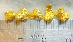5 Beautiful Alaskan Natural Placer Gold Nuggets 2.170 grams Free Shipping! #B148