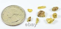 #50 Sonora Mexico Natural Gold Lot Of 8 PCS Nugget 3.50 Grams Total