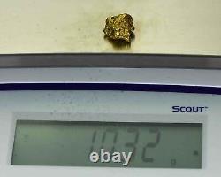 #501 Alaskan BC Natural Gold Nugget 10.32 Grams Genuine