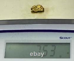 #508 Alaskan BC Natural Gold Nugget 7.53 Grams Genuine