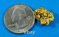 #509 Alaskan BC Natural Gold Nugget 5.92 Grams Genuine