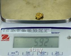 #509 Alaskan BC Natural Gold Nugget 5.92 Grams Genuine