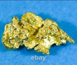 #51 Alaskan BC Natural Gold Nugget 1.51 Grams Genuine