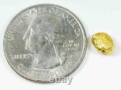 #51 California Gold Nugget 1.35 Grams Authentic Natural