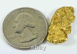#511 Alaskan BC Natural Gold Nugget 7.25 Grams Genuine