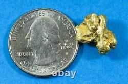 #512 Alaskan BC Natural Gold Nugget 5.80 Grams Genuine