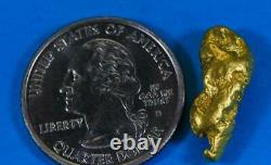 #514C Alaskan BC Natural Gold Nugget 5.81 Grams Genuine