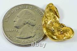 #516 Alaskan BC Natural Gold Nugget 7.00 Grams Genuine