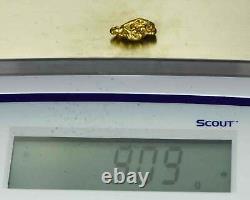 #517 Alaskan BC Natural Gold Nugget 9.09 Grams Genuine