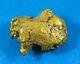 #520 Alaskan Bc Natural Gold Nugget 7.82 Grams Genuine