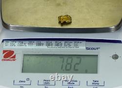 #520 Alaskan BC Natural Gold Nugget 7.82 Grams Genuine
