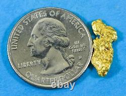 #53 Alaskan BC Natural Gold Nugget 1.65 Grams Genuine