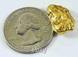 #530 Alaskan BC Natural Gold Nugget 8.24 Grams Genuine