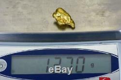 #540 Alaskan BC Natural Gold Nugget 13.70 Grams Genuine