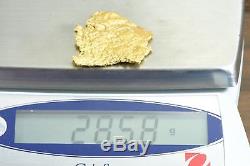 #541 Large Alaskan BC Natural Gold Nugget 28.58 Grams Genuine