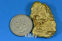 #541 Large Alaskan BC Natural Gold Nugget 47.07 Grams Genuine