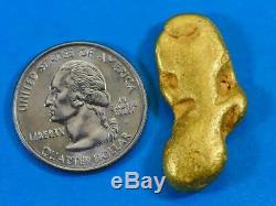 #541A Large Alaskan BC Natural Gold Nugget 22.56 Grams Genuine