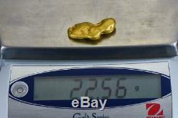 #541A Large Alaskan BC Natural Gold Nugget 22.56 Grams Genuine