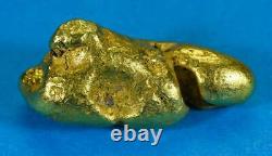 #541B Large Alaskan BC Natural Gold Nugget 47.52 Grams Genuine-B