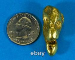 #541B Large Alaskan BC Natural Gold Nugget 47.52 Grams Genuine-B