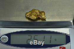 #542 Large Alaskan BC Natural Gold Nugget 26.12 Grams Genuine