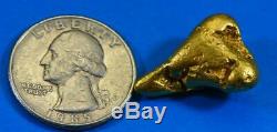 #543 Alaskan BC Natural Gold Nugget 16.68 Grams Genuine