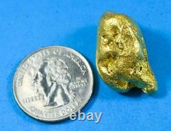 #543B Large Alaskan BC Natural Gold Nugget 32.50 Grams Genuine