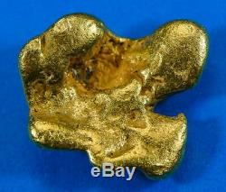 #544 Large Alaskan BC Natural Gold Nugget 20.49 Grams Genuine