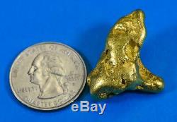 #544A Large Alaskan BC Natural Gold Nugget 35.13 Grams Genuine