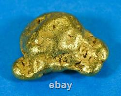 #545C Large Alaskan BC Natural Gold Nugget 47.34 Grams Genuine-C