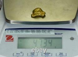 #545C Large Alaskan BC Natural Gold Nugget 47.34 Grams Genuine-C