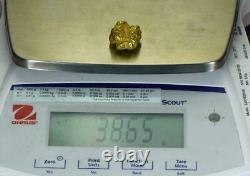 #546C Large Alaskan BC Natural Gold Nugget 38.65 Grams Genuine-C