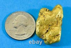 #547-B Large Alaskan BC Natural Gold Nugget 38.95 Grams Genuine