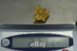#547 Large Alaskan BC Natural Gold Nugget 27.71 Grams Genuine