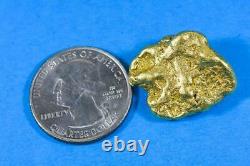 #548 Large Alaskan BC Natural Gold Nugget 20.29 Grams Genuine