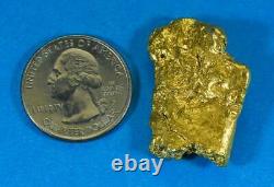 #548C Large Alaskan BC Natural Gold Nugget 33.48 Grams Genuine-C