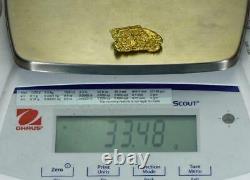 #548C Large Alaskan BC Natural Gold Nugget 33.48 Grams Genuine-C