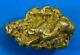 #549a Large Alaskan Bc Natural Gold Nugget 49.92 Grams Genuine