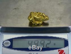 #549A Large Alaskan BC Natural Gold Nugget 49.92 Grams Genuine