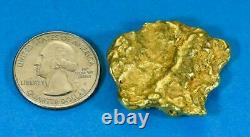 #551B Large Alaskan BC Natural Gold Nugget 37.61 Grams Genuine