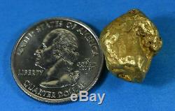 #552 Large Alaskan BC Natural Gold Nugget 22.91 Grams Genuine