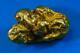 #552 Large Alaskan Bc Natural Gold Nugget 41.61 Grams Genuine