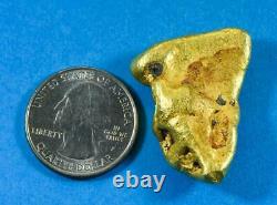 #553 Large Alaskan BC Natural Gold Nugget 49.81 Grams Genuine
